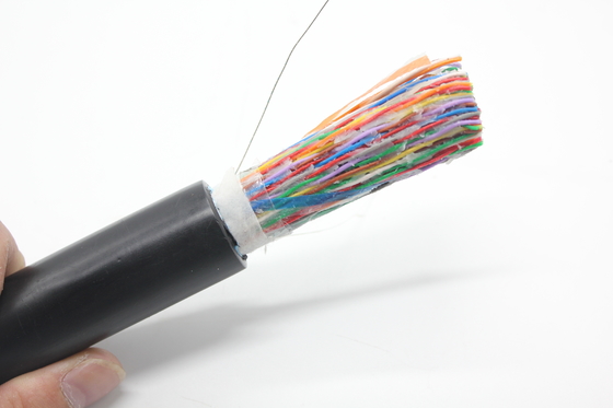 屋外UTPFTP Cat3 Good 仕様 2ペア電話STPケーブル 100ペア カッパー Cat5e Cat3 Cat5e 25 30 20 10 ケーブル価格