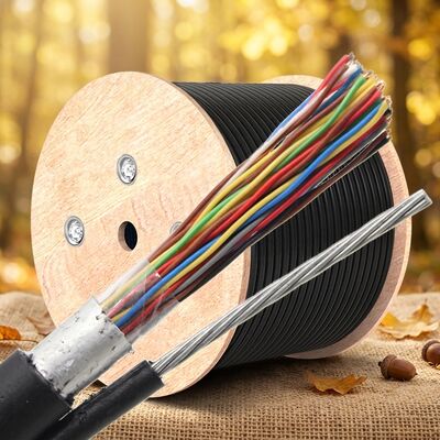 Cat3屋外用スチールワイヤー付き電話ケーブル 100ペア 200ペア 50ペア